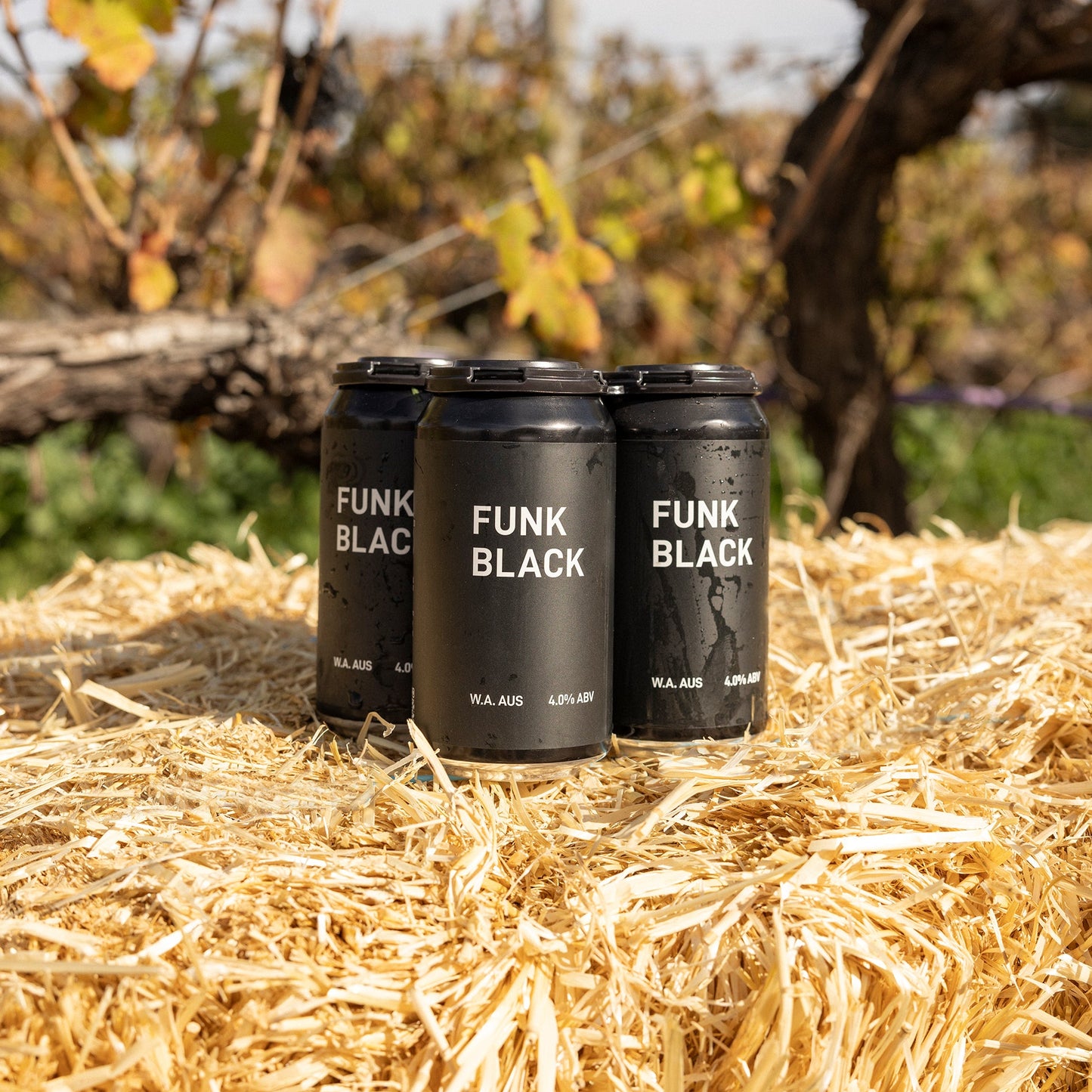 FUNK BLACK
