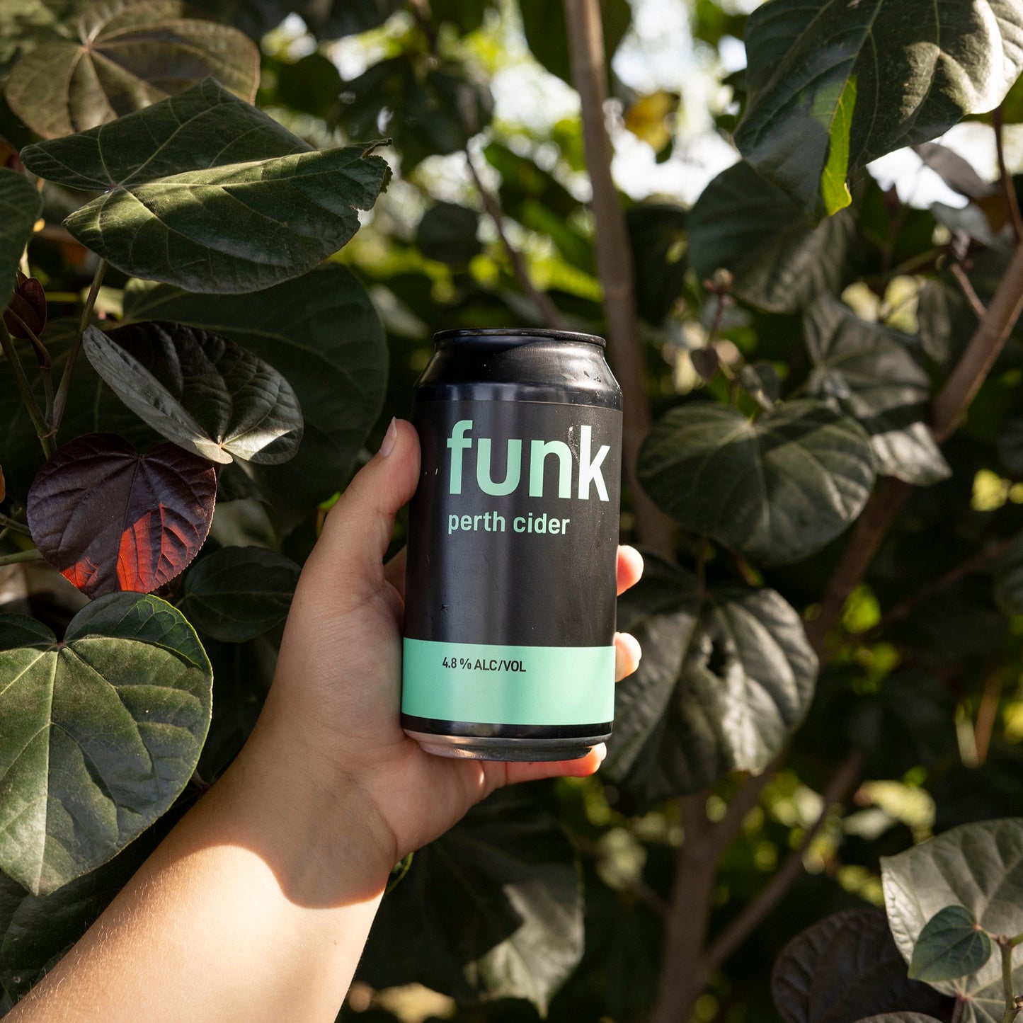 A hand holding a can of Funk Perth Cider among green leaves