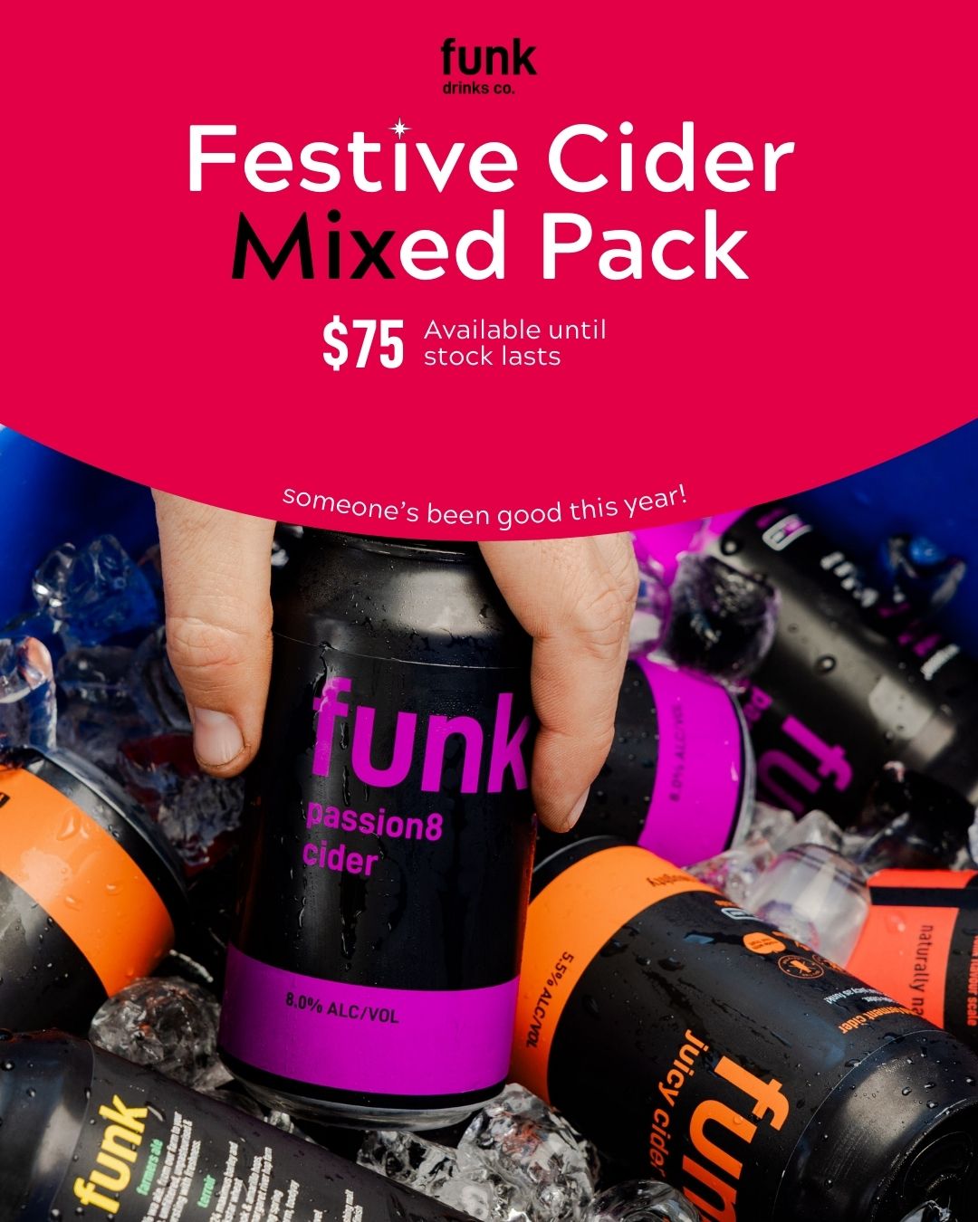 Festive Mixed Bundle