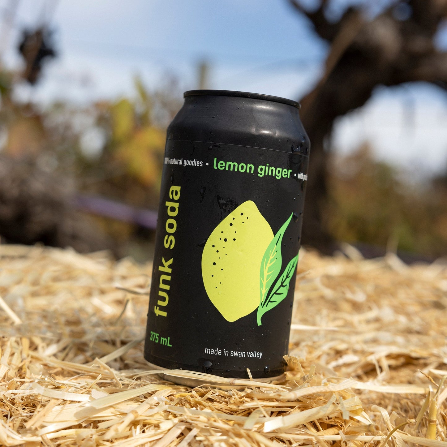 LEMON GINGER CRAFT SODA