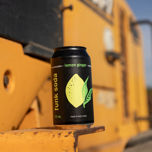 LEMON GINGER CRAFT SODA