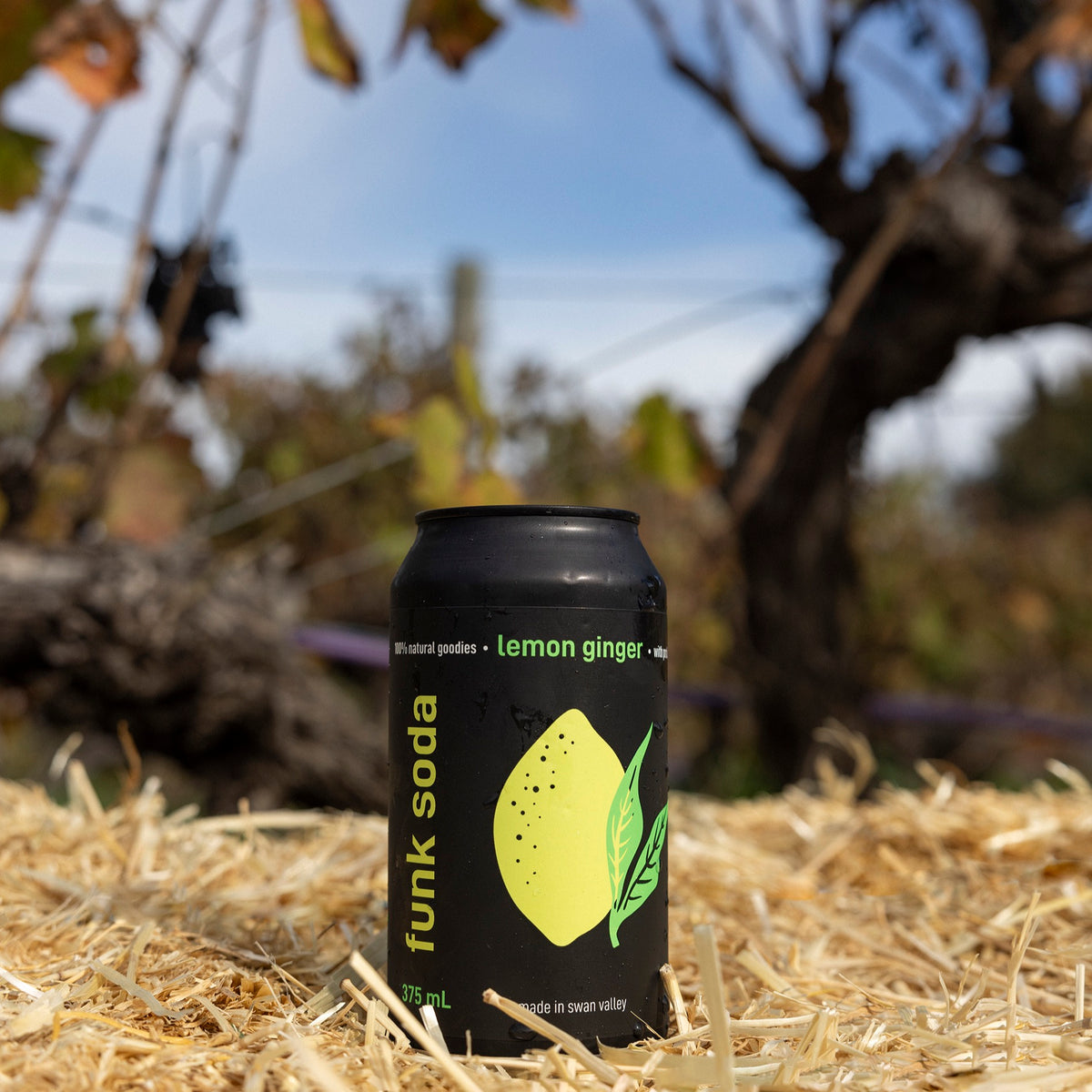 A can of Funk Lemon Ginger craft soda on a straw bale beneath an old grapevine