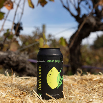 A can of Funk Lemon Ginger craft soda on a straw bale beneath an old grapevine