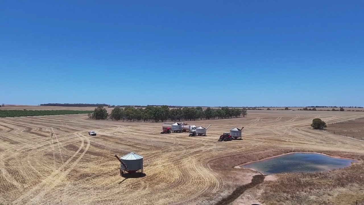 Load video: Funk paddock to pour beer